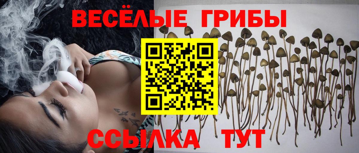 Псилоцибиновые грибы мухоморы Оренбург