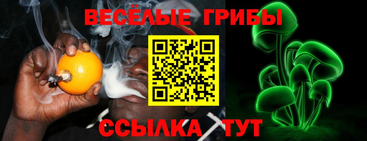 Оренбург  Галлюциногенные грибы мухоморы  Вход с VPN 